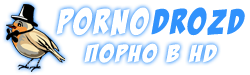 Скачать порно на PornoDrozd